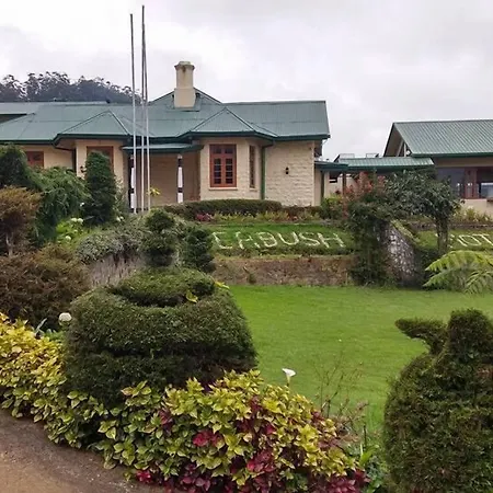 Tea Bush Hotel-3